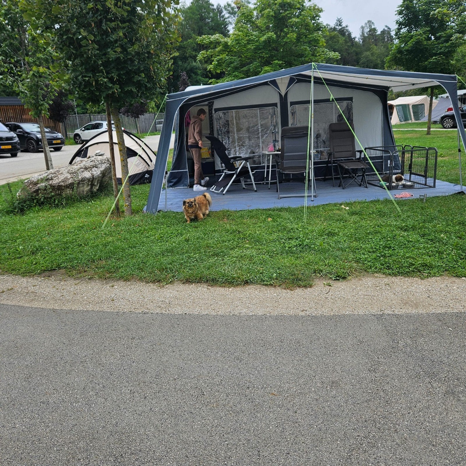 Ruime Dorema voortent met luifel, Caravans en Kamperen, Tenten, Gebruikt, Ophalen of Verzenden