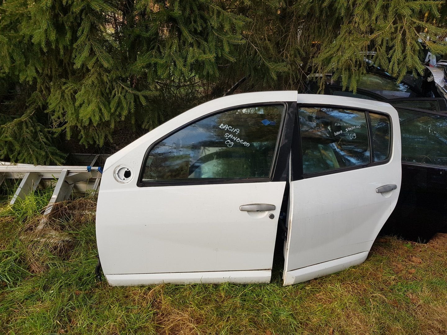 DACIA SANDERO PORTIEREN LV+LA  BJ 2010, Auto-onderdelen, Gebruikt, -, Deur, -