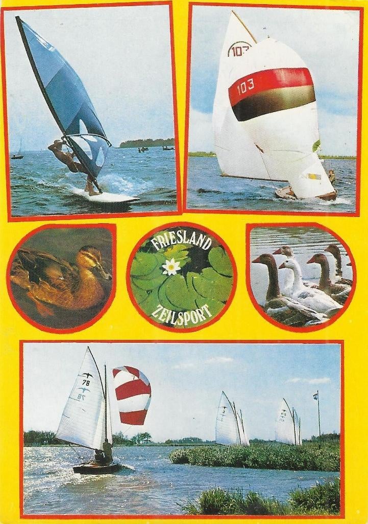 F9 Gelopen ansichtkaart friesland zeilsport, Verzamelen, Ophalen of Verzenden, 1980 tot heden, Gelopen, Friesland