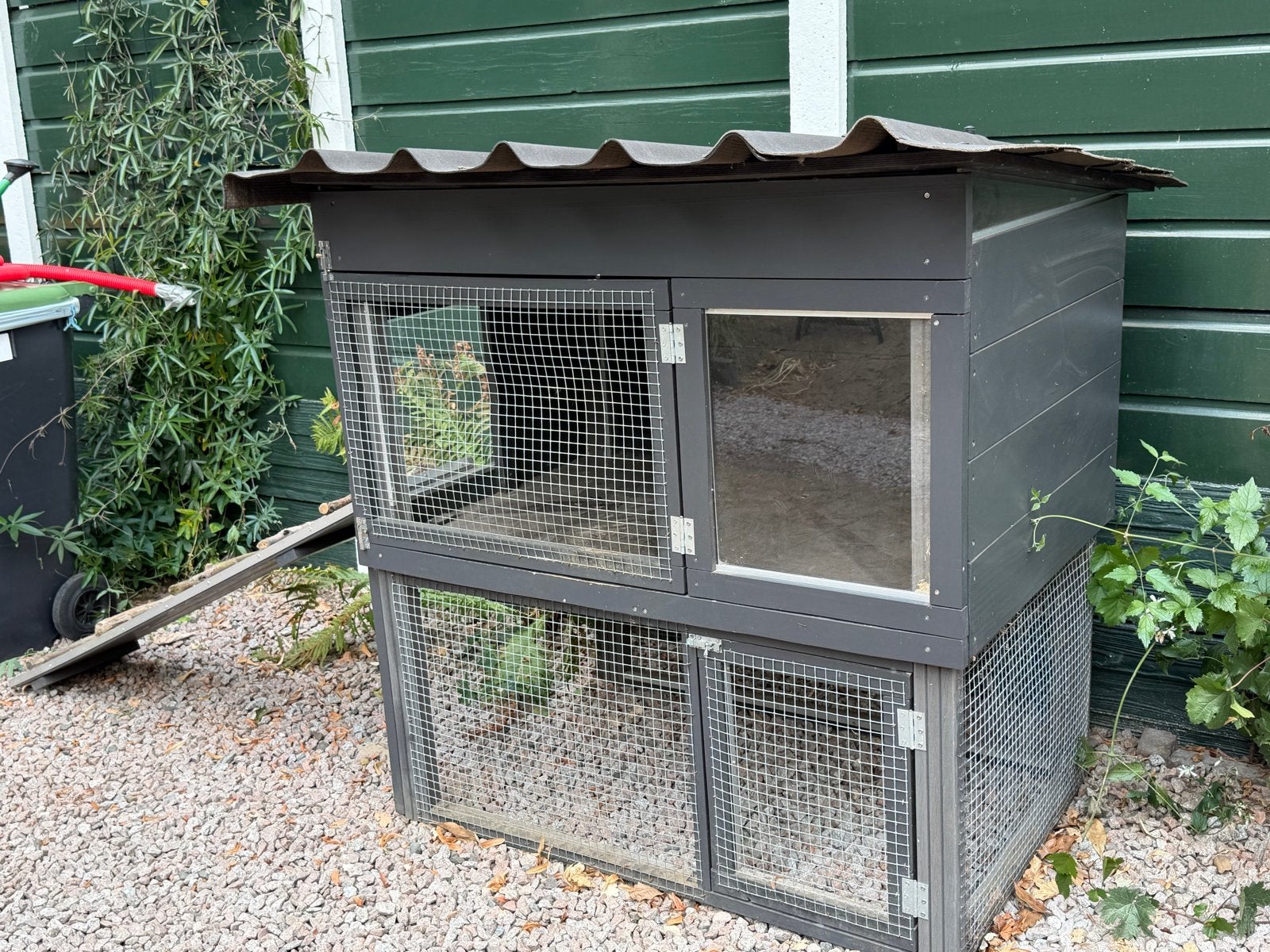 Konijnen hok voor vlaamse reus, Ophalen, 90 cm of meer, Hok, 110 cm of meer