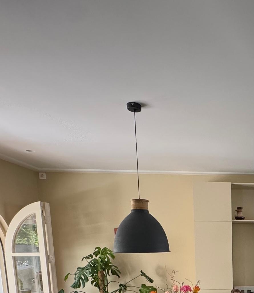 Karwei hanglamp, Ophalen, Gebruikt, Hout, Minder dan 50 cm