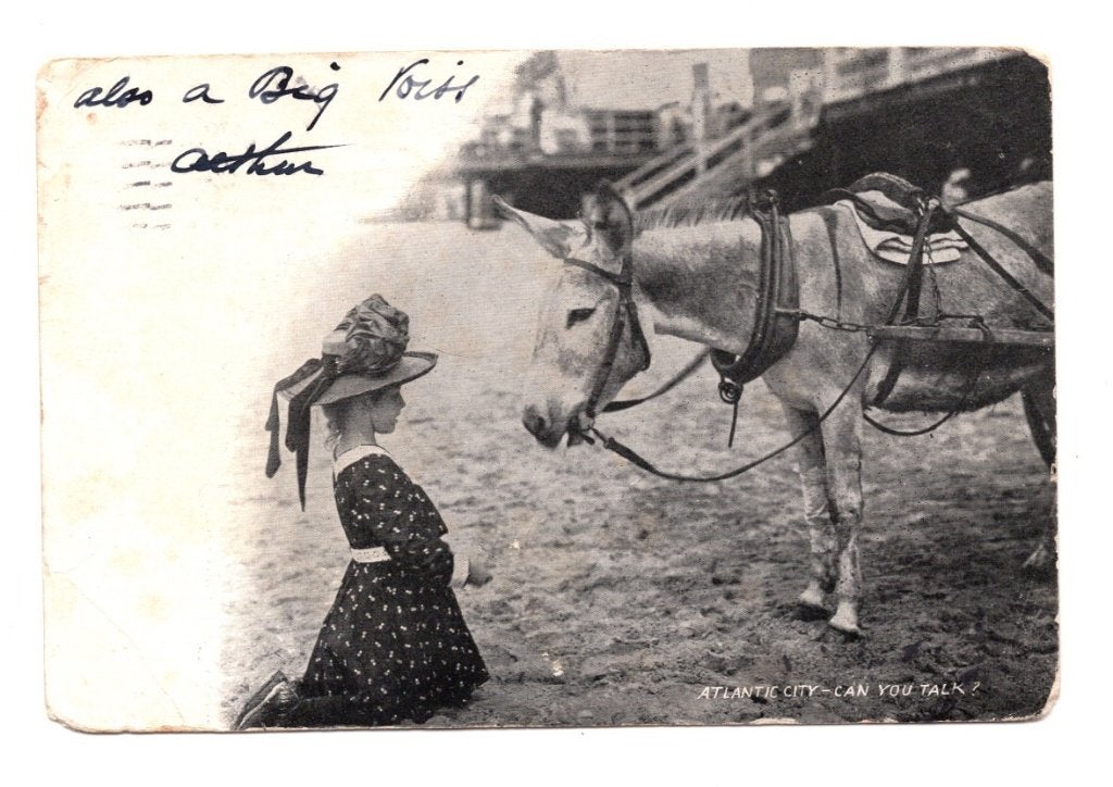 Oude Ansichtkaart Atlantic City Ezel Boardwalk Gelopen 1905, Ophalen of Verzenden, Voor 1920, Gelopen, Frankrijk