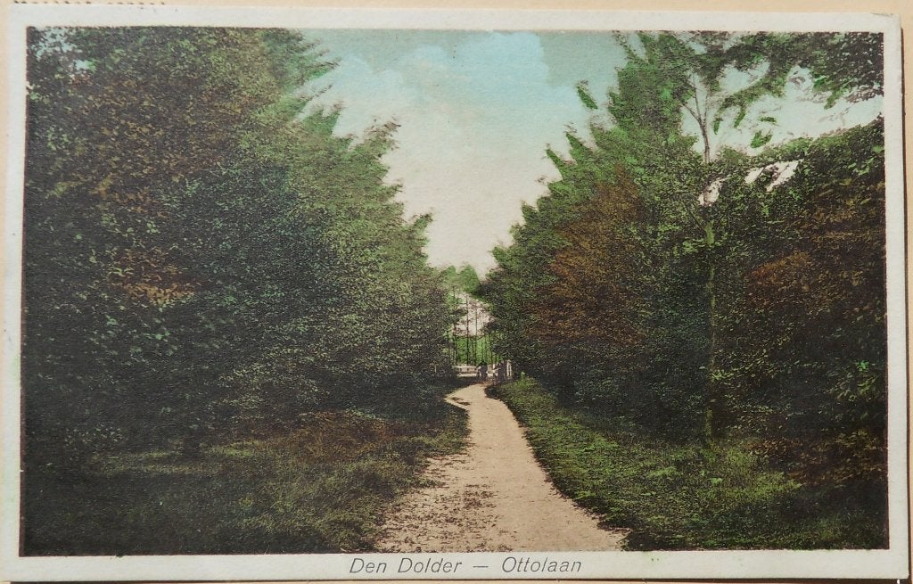 ansichtkaart DEN DOLDER Ottolaan, Ophalen of Verzenden, 1940 tot 1960, Gelopen