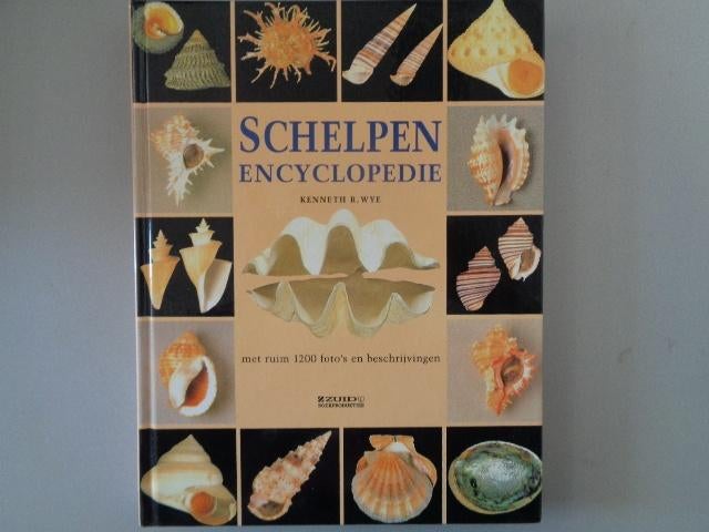 Schelpen encyclopedie - Kenneth R. Wye, Gelezen, Kenneth R. Wye, Ophalen of Verzenden, Los deel