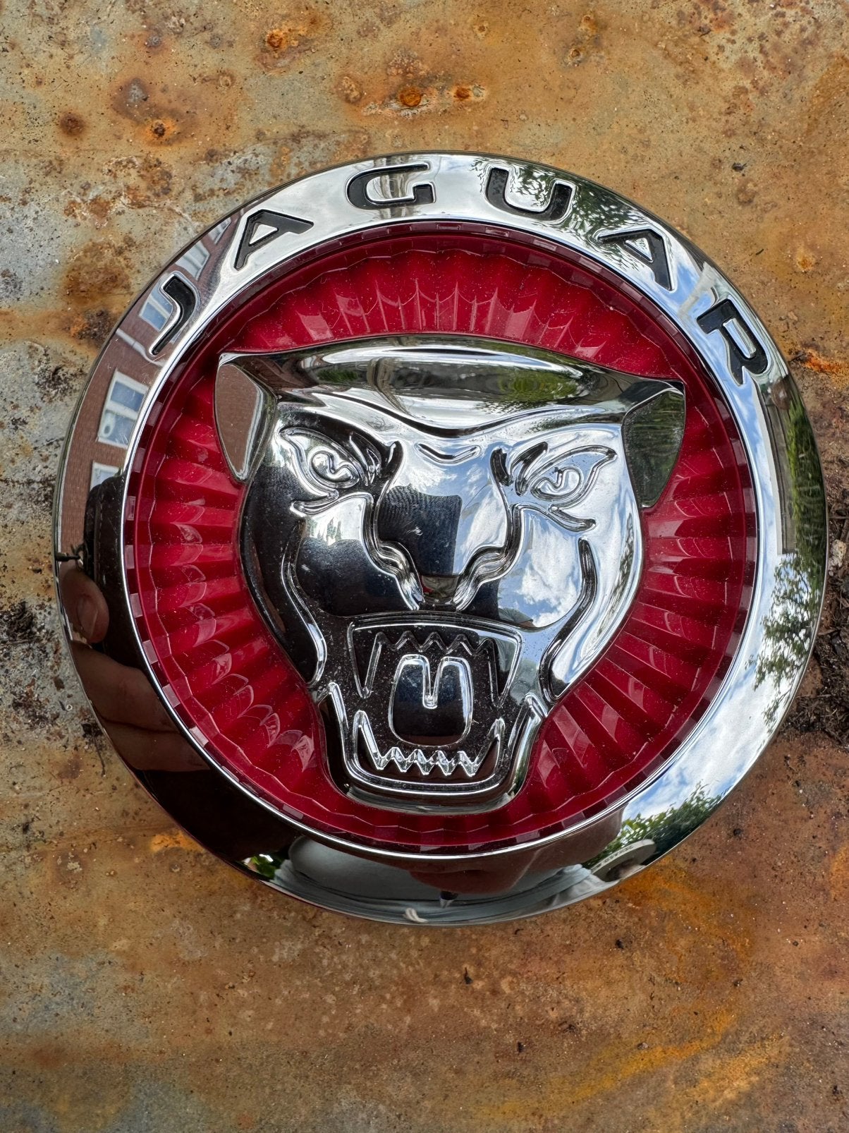 Jaguar embleem badge grill, Ophalen of Verzenden, Nieuw