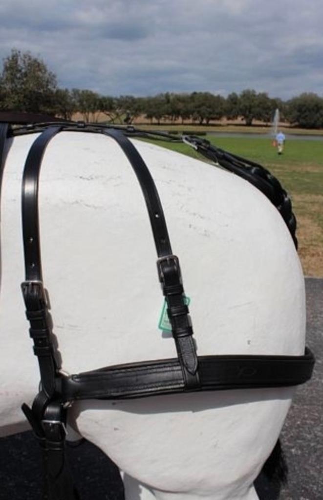 Broek met culeron maat pony, ideaal eurotech tuig, Dieren en Toebehoren, Paarden en Pony's | Hoofdstellen en Tuigage, Ophalen of Verzenden