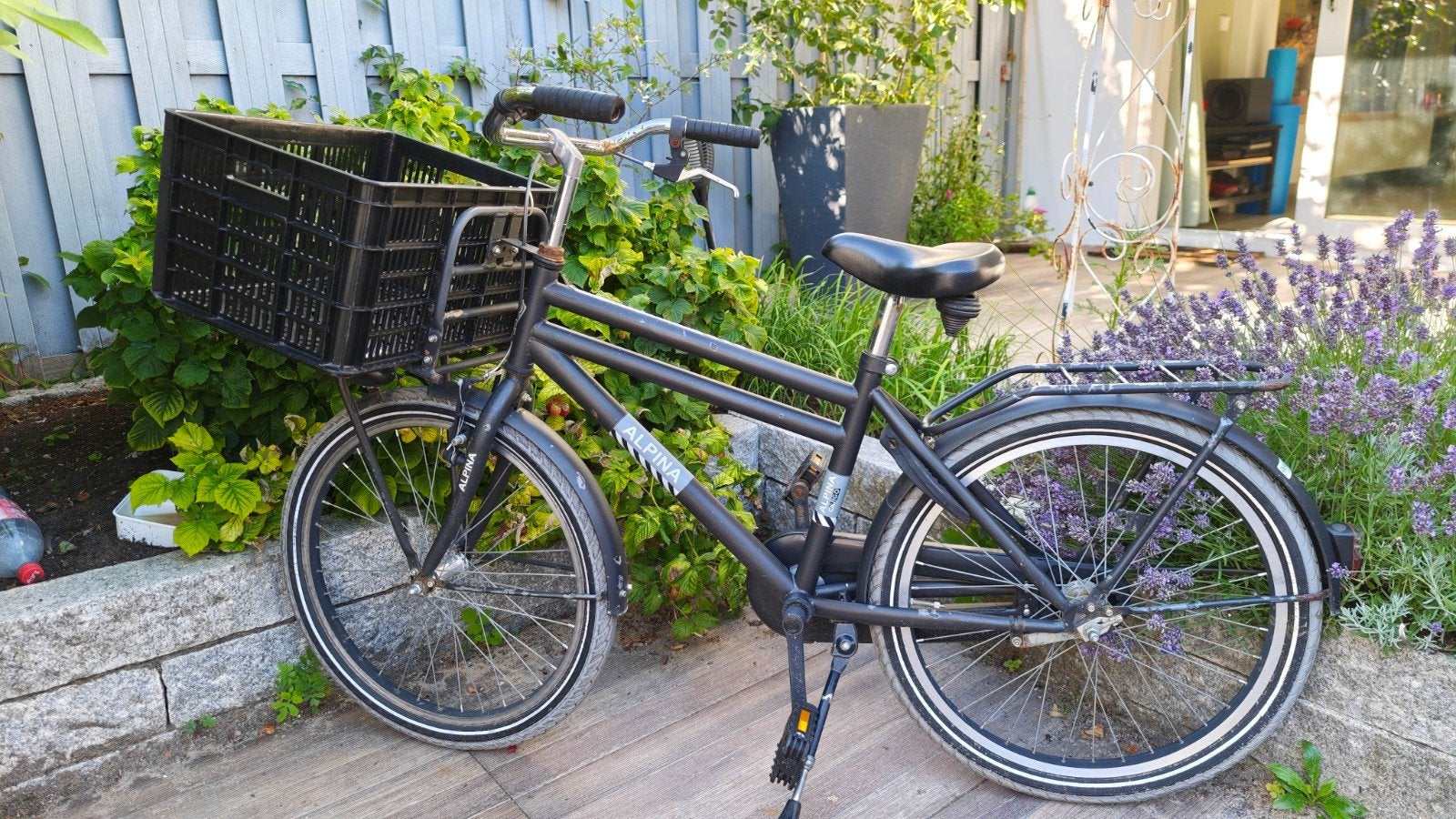 Alpina cargo 22 inch kinderfiets met krat voor, 65 cm of meer, Ophalen, Gebruikt, Overige merken