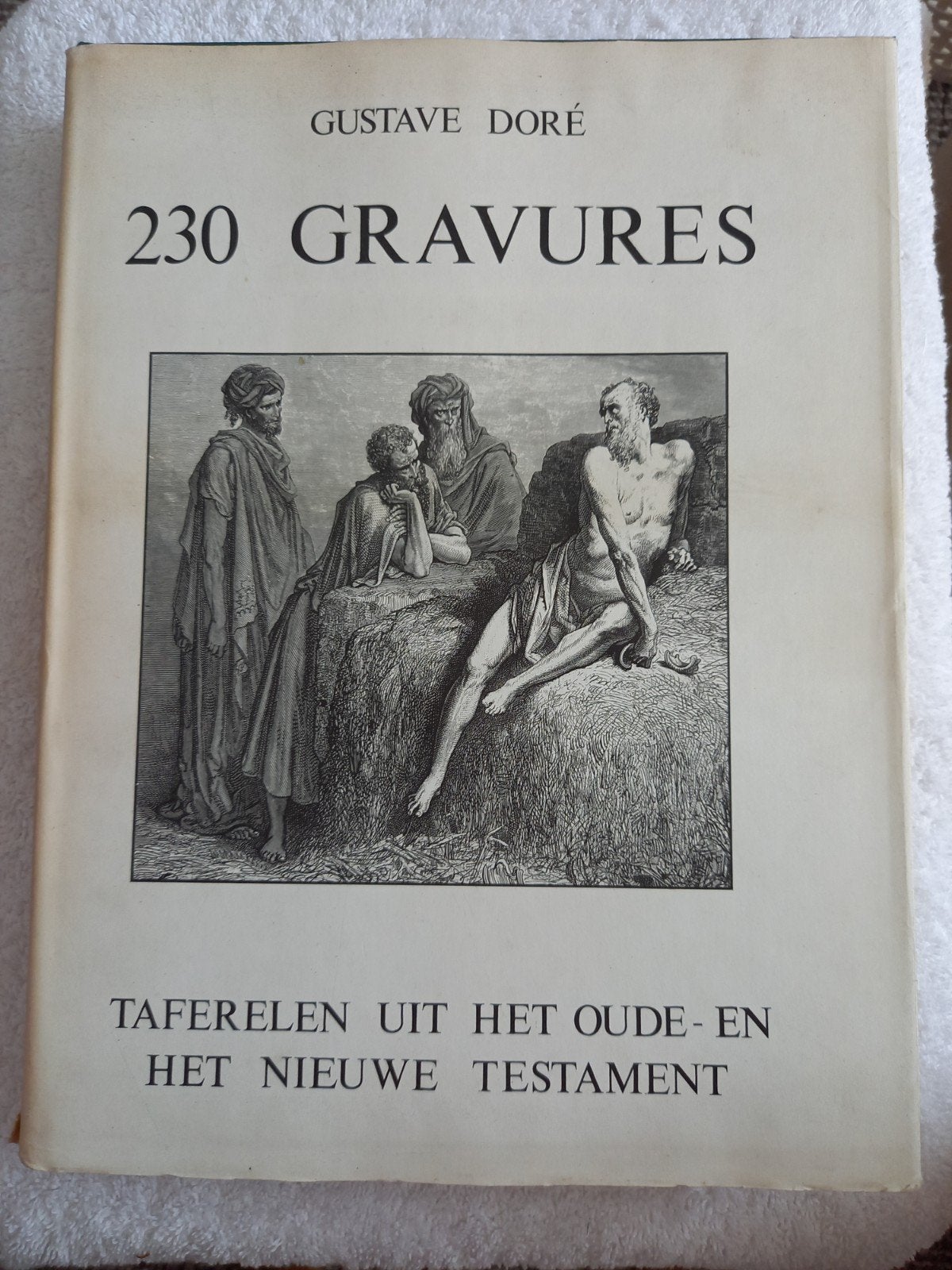 h23 Gustave Doré - 230 Gravures: Oude en Nieuwe Testament, Antiek en Kunst, Antiek | Boeken en Bijbels, Ophalen of Verzenden, Gustave Doré