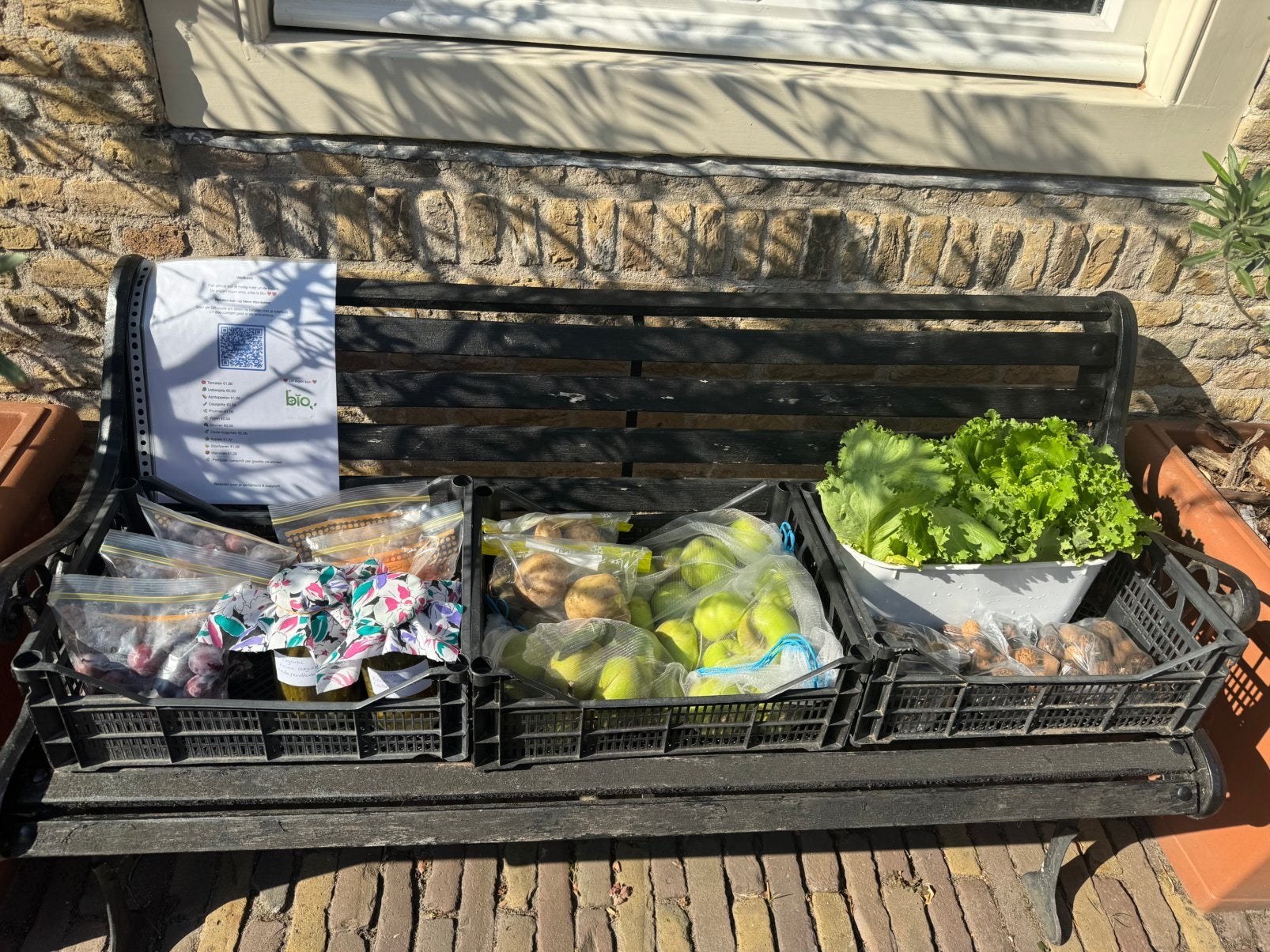 Bio: pompoen, aardappel, courgette, tomaten, appels, peren, Ophalen, Eenjarig, Groenteplanten, Volle zon