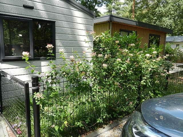 Te Koop, 41 m², Chalet, Noord-Brabant, 2 slaapkamers
