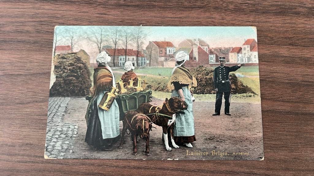 België Hondenkar met melkbussen Rijkswacht Stop!, Verzamelen, Ophalen of Verzenden, Voor 1920, Gelopen, Overige thema's