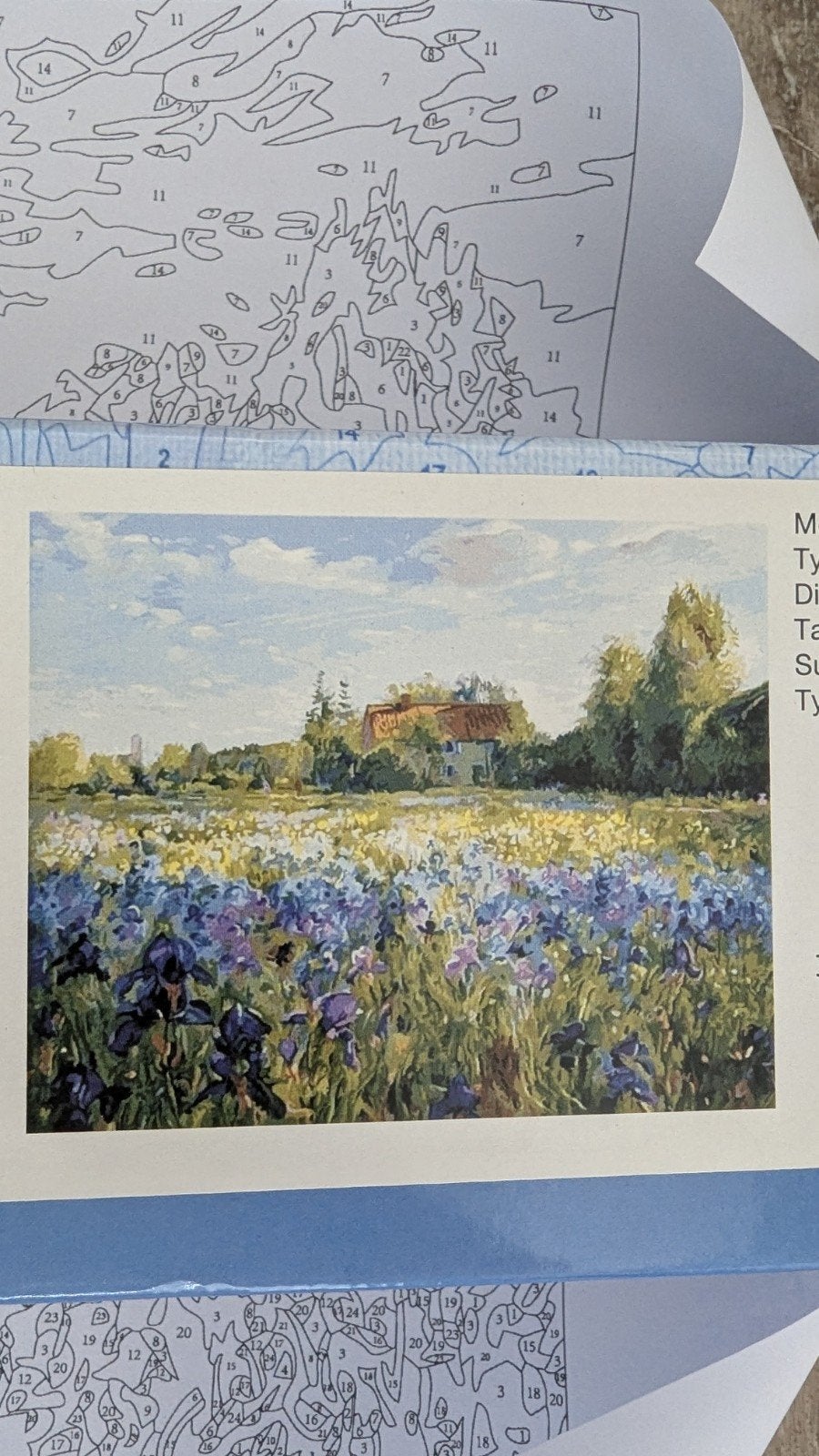 Schilderen op nummer Figured'Art - Gratis, Ophalen of Verzenden, Schilderen op nummer