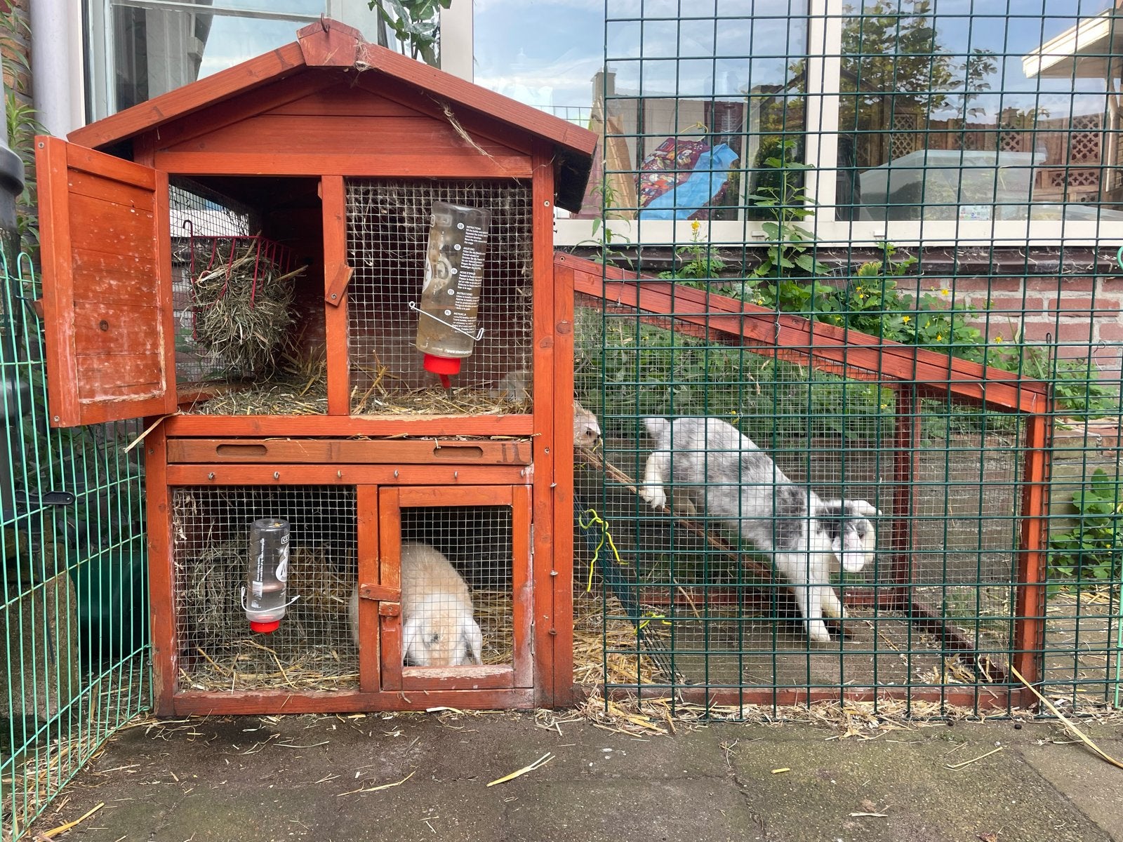 Konijnenhok, Dieren en Toebehoren, Ophalen, Gebruikt, 90 cm of meer, Hok