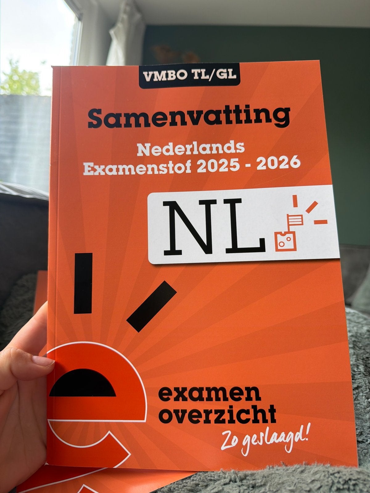 Samenvatting Nederlands Examenstof VMBO TL/GL 2025-2026, Ophalen of Verzenden, Nieuw, VMBO, Nederlands