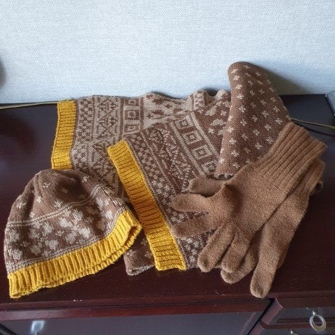Sjaal muts en handschoenen wol, Maat 42/44 (L), Nieuw, Ophalen of Verzenden, Sjaal