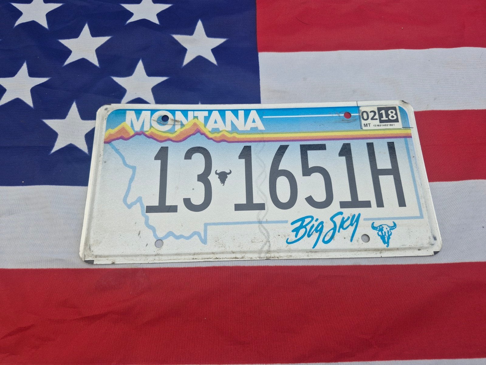 Kentekenplaat Montana USA Nummerplaat nummerbord License VS, Verzenden, Gebruikt, Auto's