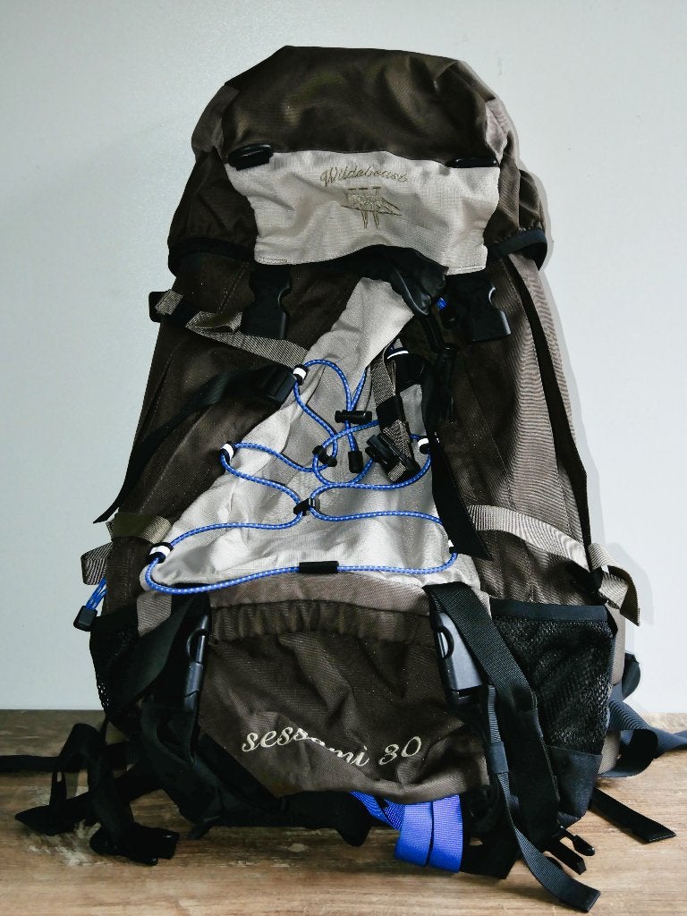 Rugzakken, Overige merken, 40 cm of meer, Ophalen of Verzenden, Zo goed als nieuw