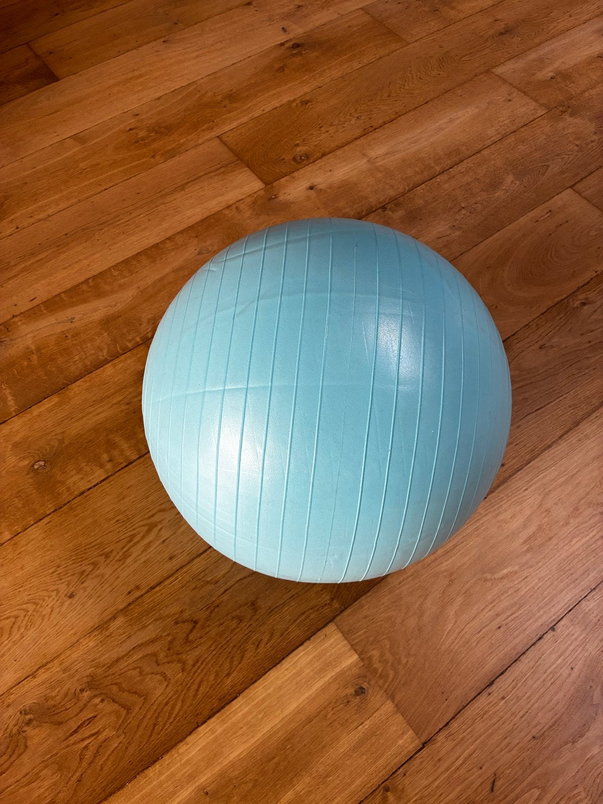 Q4Life Fitnessbal / Gym Ball 65 cm met pomp, Ophalen, Zo goed als nieuw, Buik, Fitnessbal