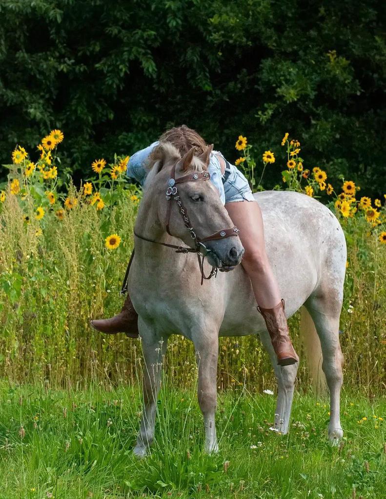 Leuke d merrie te koop, Dieren en Toebehoren, Pony's, Merrie