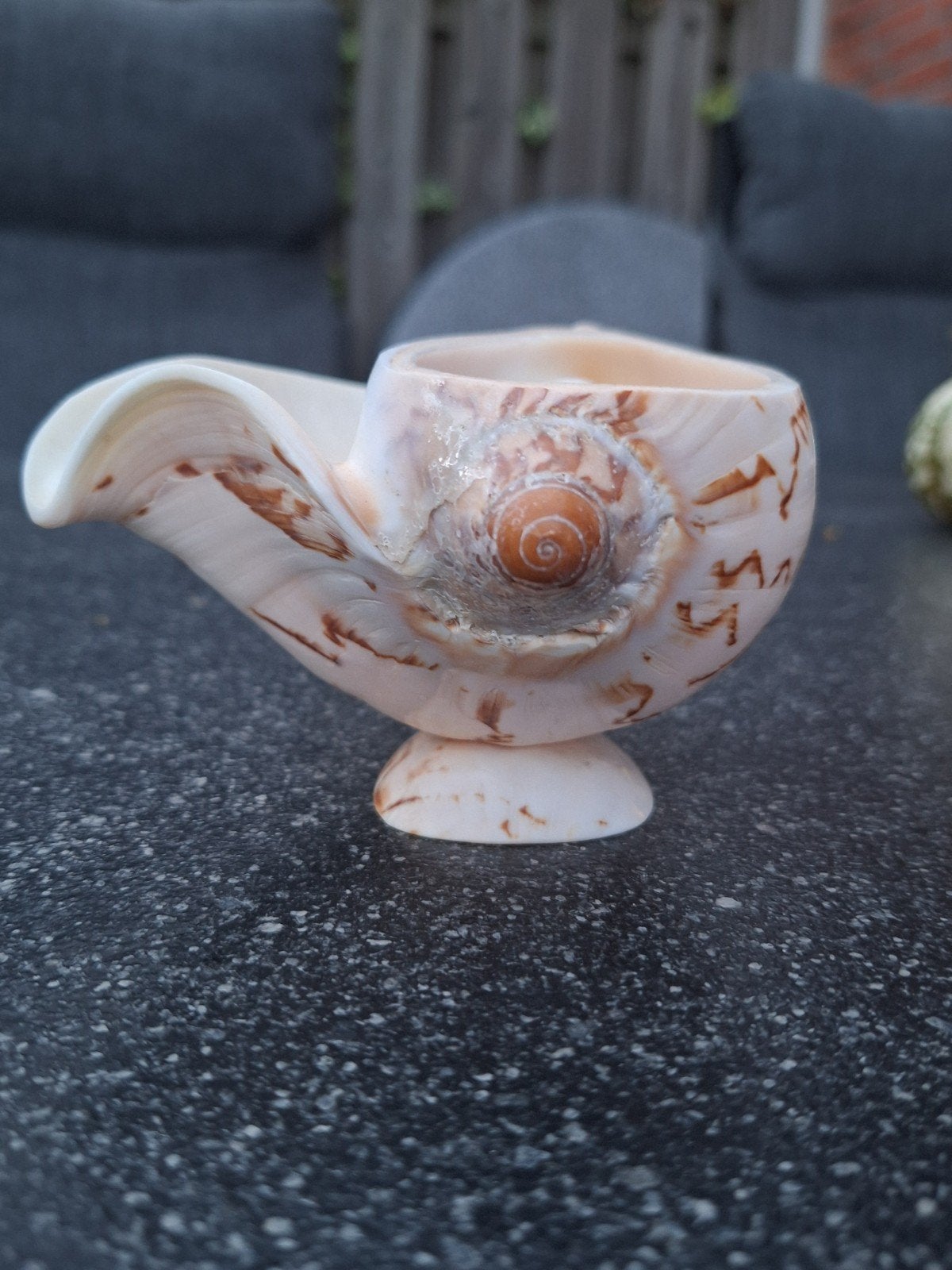 schelp, Ophalen, Schelp(en)
