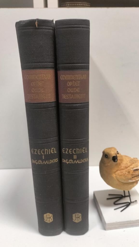 Aalders, Dr. G. Ch.;Comm Oude Testament: Ezechiel dl 1 en 2, Ophalen of Verzenden, Gelezen, Christendom | Protestants