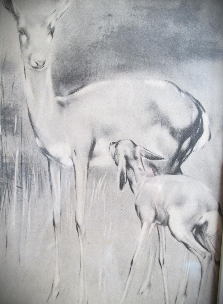 Hert met Jong~Han van Meegeren~Hertje~voor 1940, Ophalen of Verzenden
