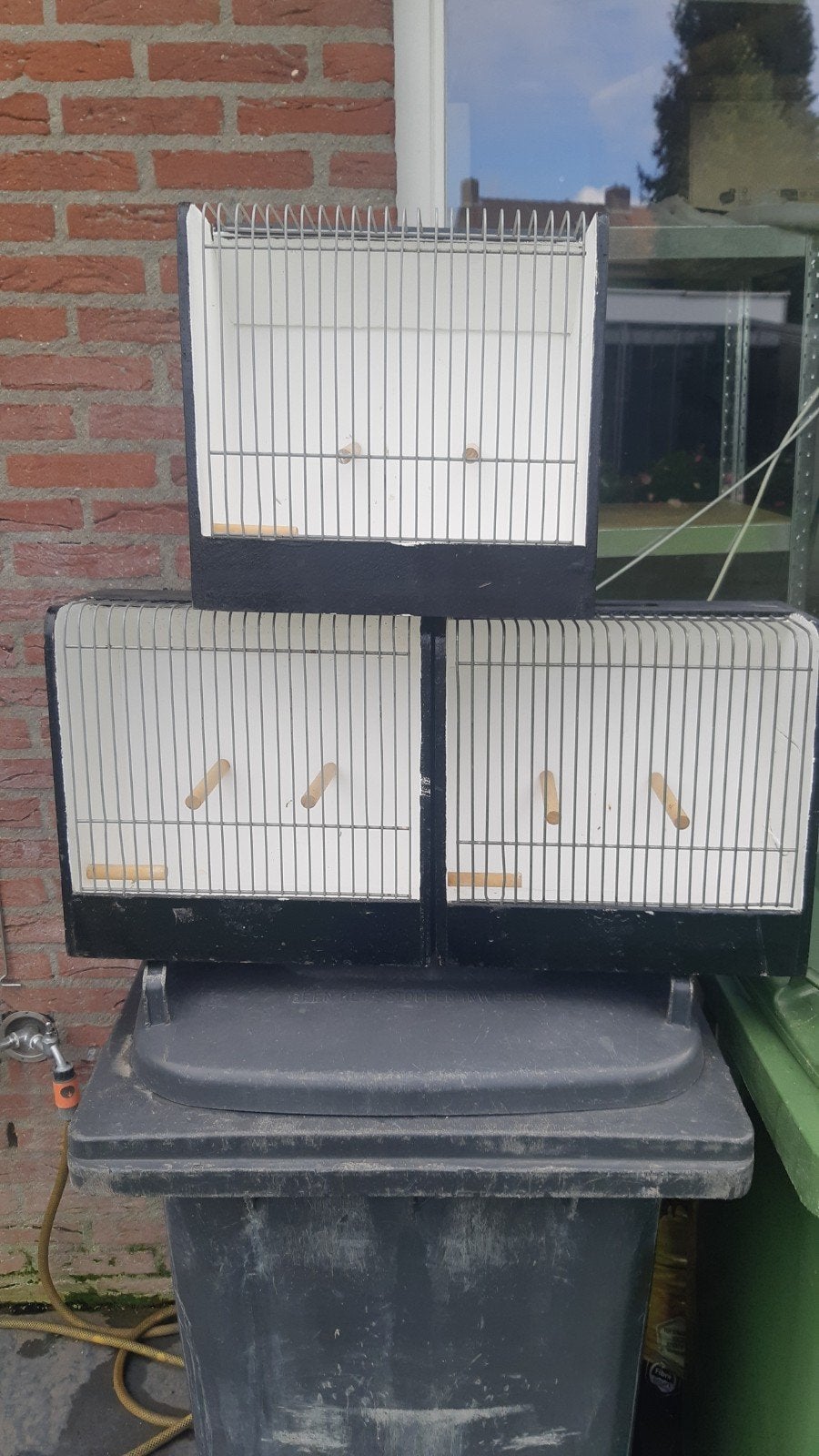 tentoonstelling kooien, Dieren en Toebehoren, Ophalen, Gebruikt, Hout, Vogelkooi