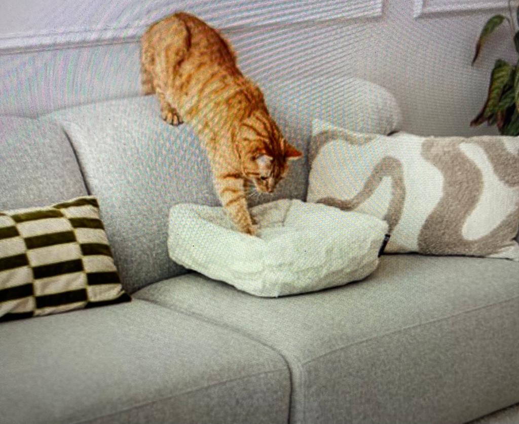 Kattenmand ‘district 70 mosa’ nieuw en zacht, Dieren en Toebehoren, Kattenmanden, Ophalen of Verzenden, Nieuw, Pluche