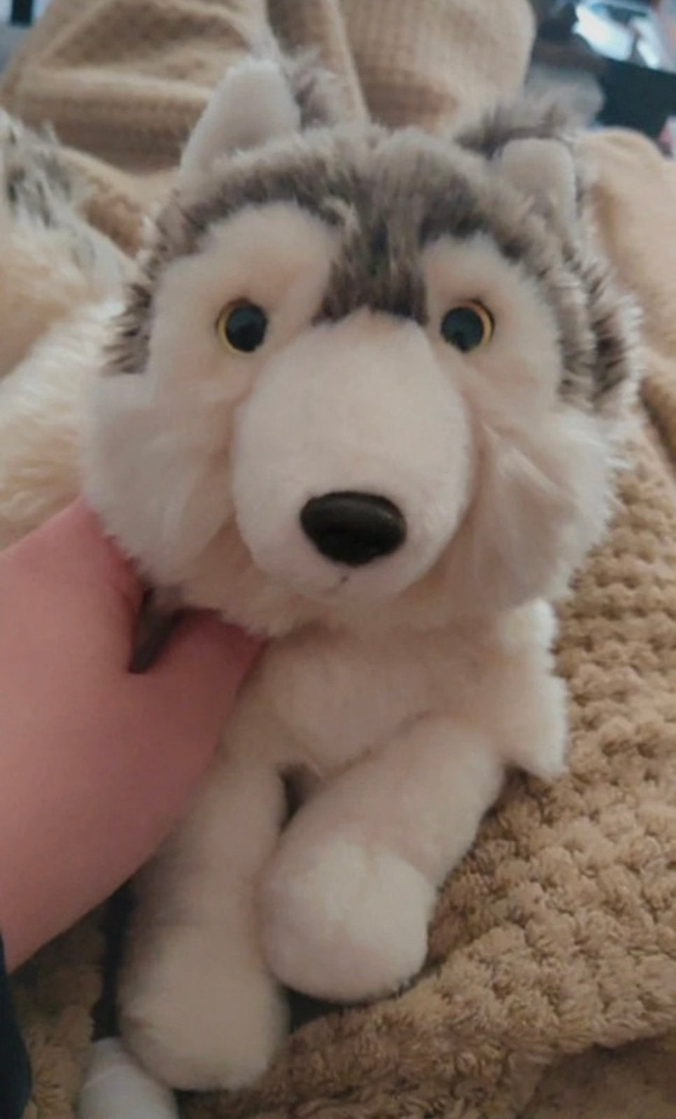 Hele mooie wolf knuffel van het wwf zo goed als nieuw, Ophalen of Verzenden, Zo goed als nieuw, Overige typen