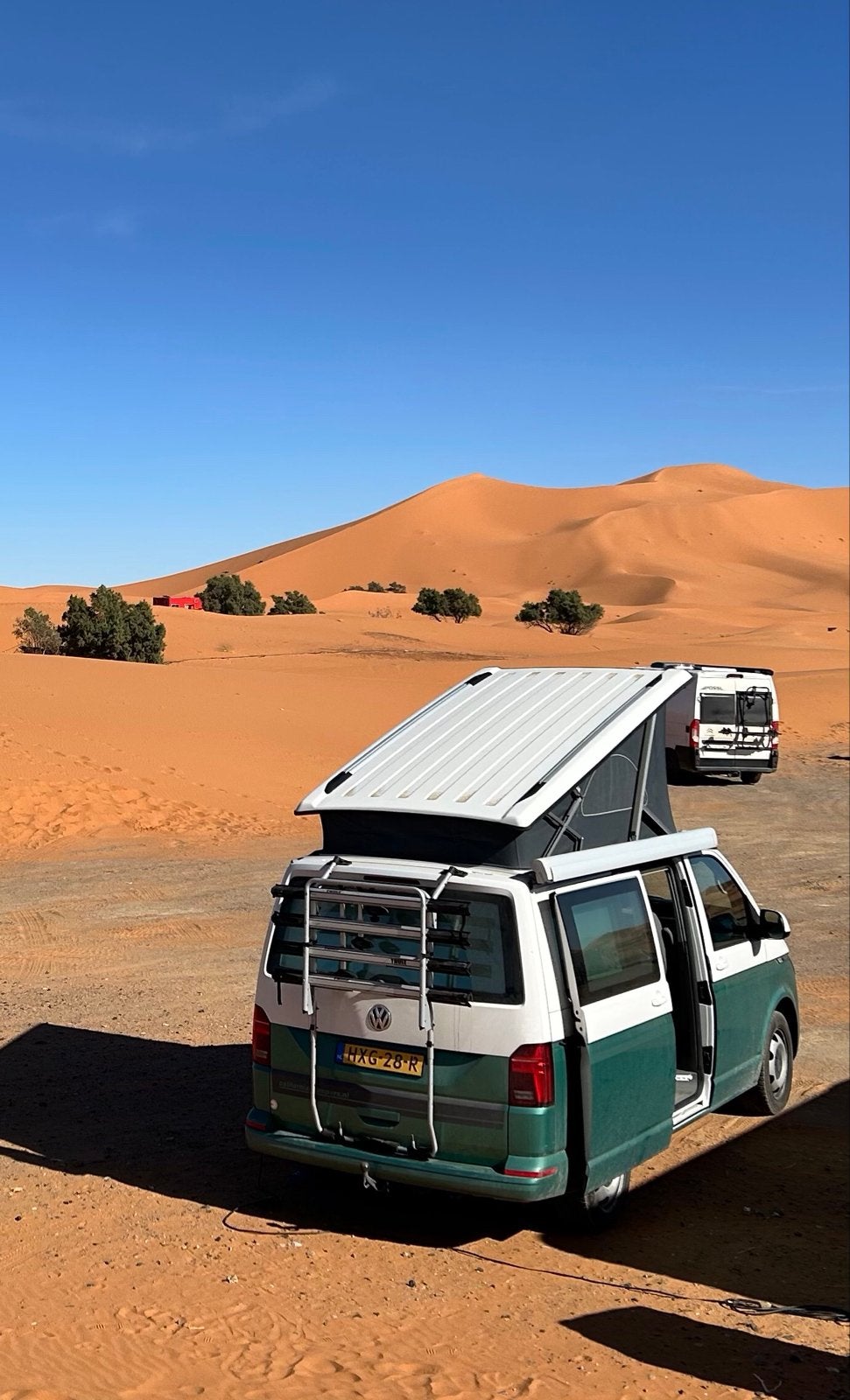 VW T6.1 California Ocean Bulli Automaat 150pk Diesel, Automaat, Buscamper of Camperbus, Volkswagen, Diesel