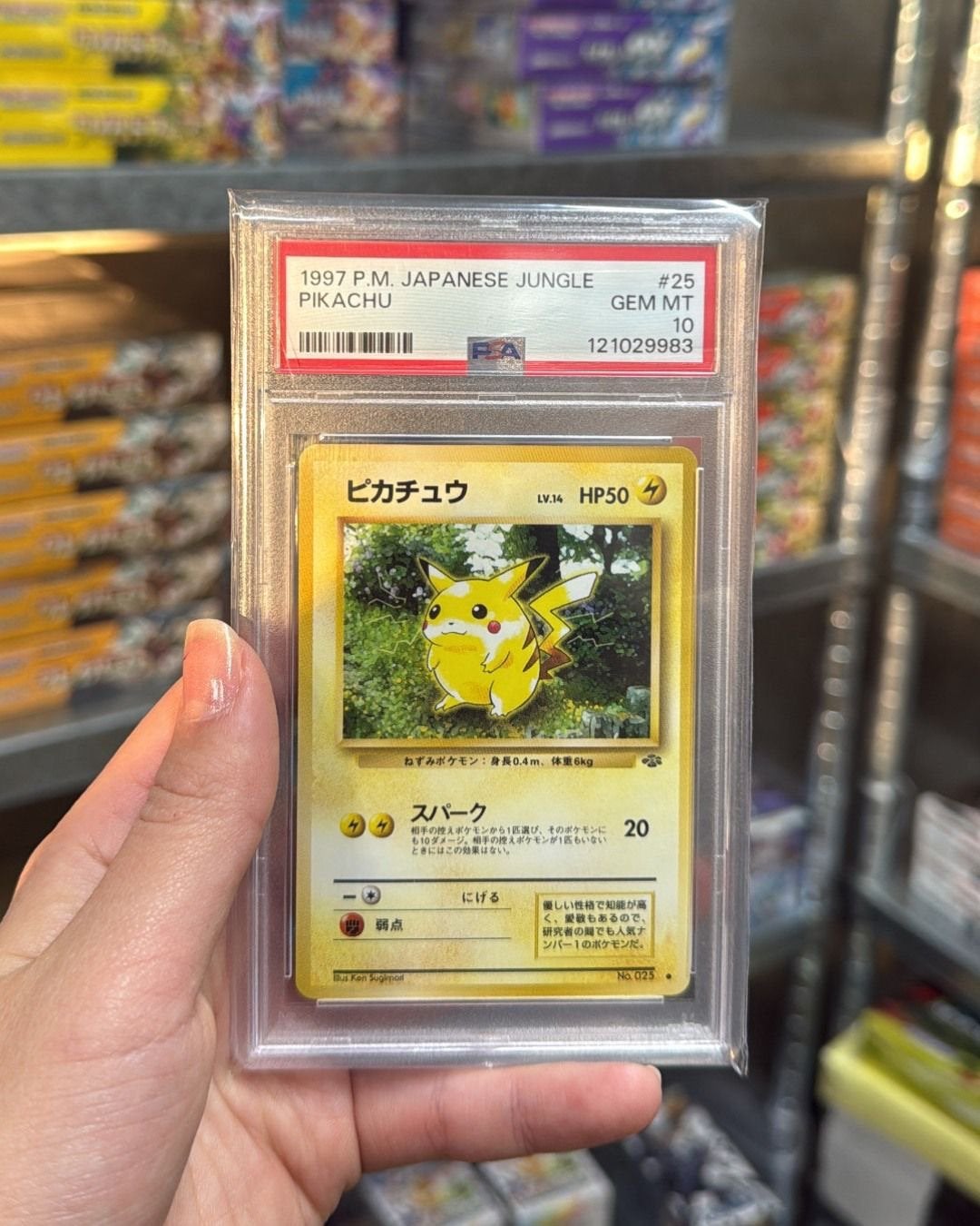 PSA 10 Pikachu #25 – 1997 Japanese Jungle, Ophalen, Zo goed als nieuw
