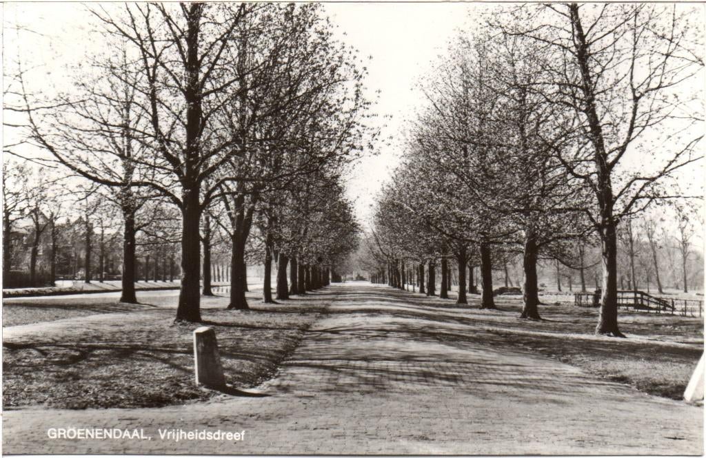 Groenendaal Vrijheidsdreef, Verzamelen, Ansichtkaarten | Nederland, Ophalen of Verzenden, Gelopen, Noord-Holland