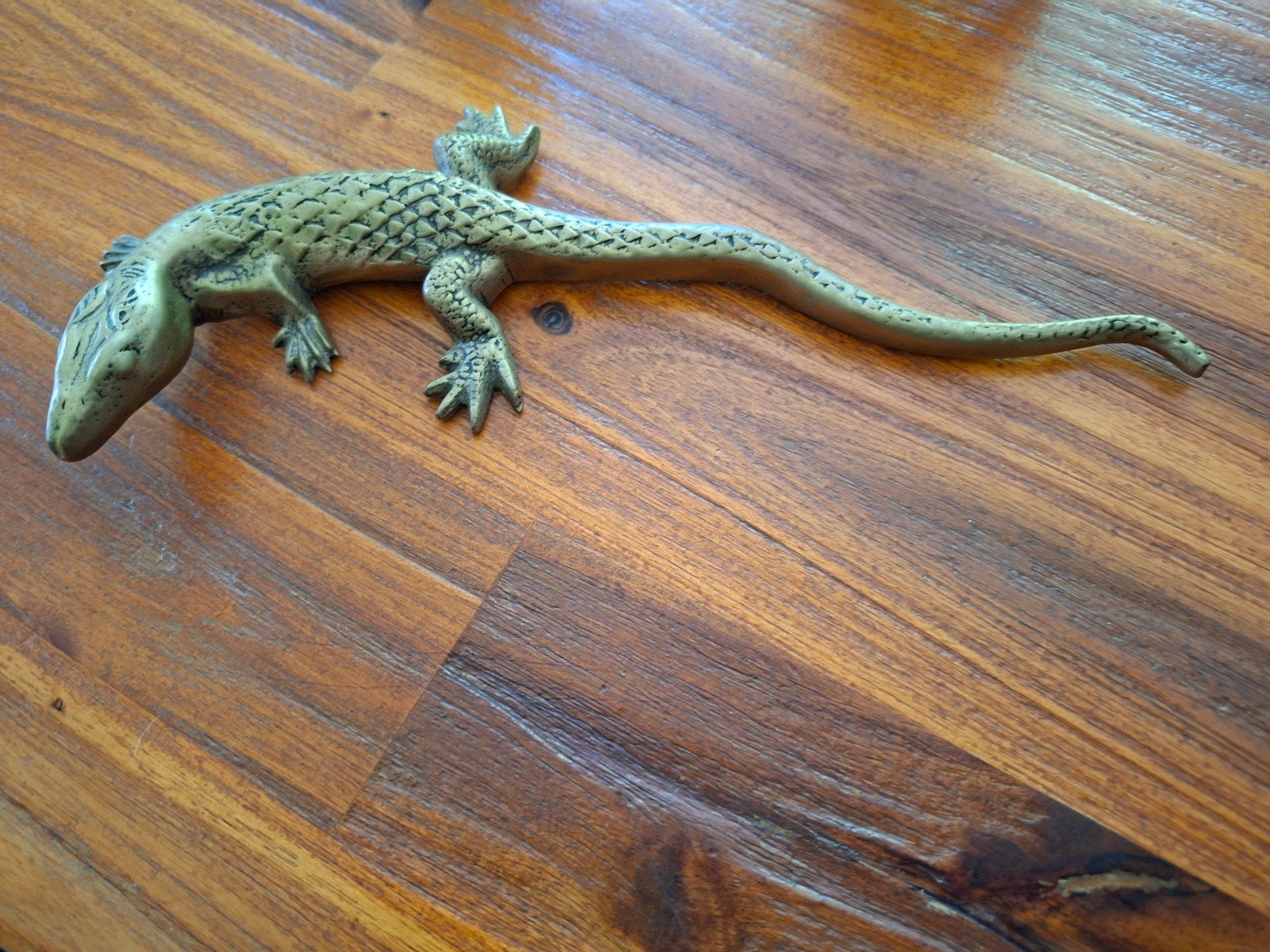 Salamander, Ophalen of Verzenden