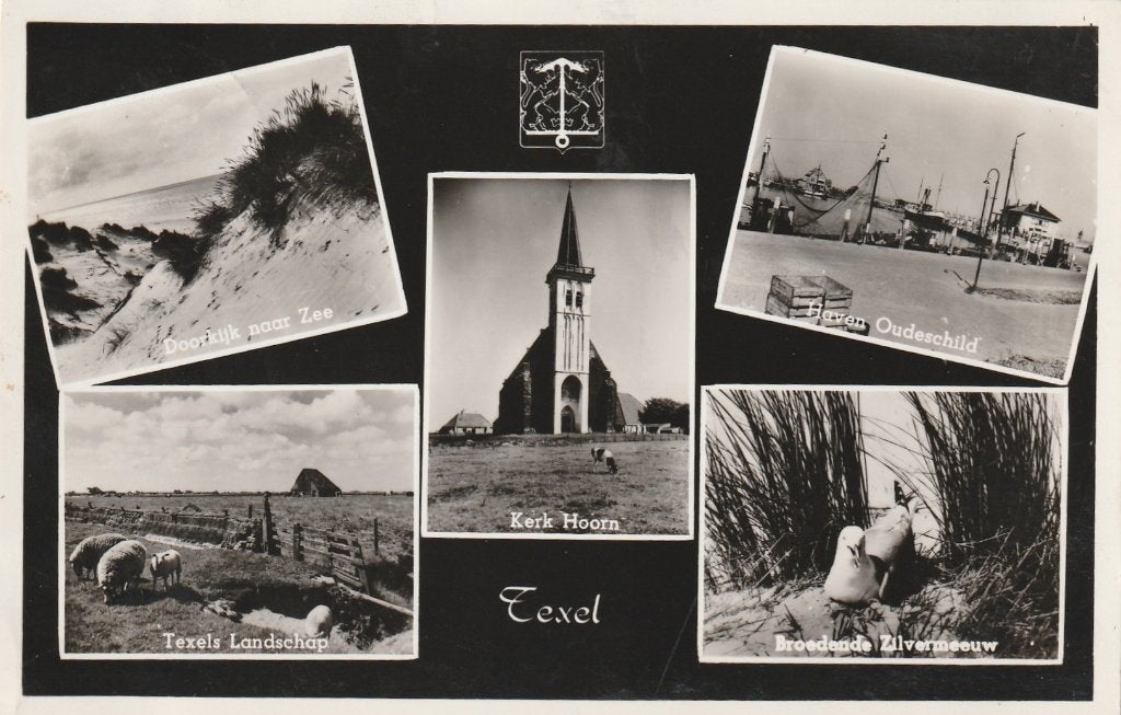 TEXEL Duin Schapen Kerk Oudeschild Zilvermeeuw 1954, Verzenden, 1940 tot 1960, Gelopen, Waddeneilanden