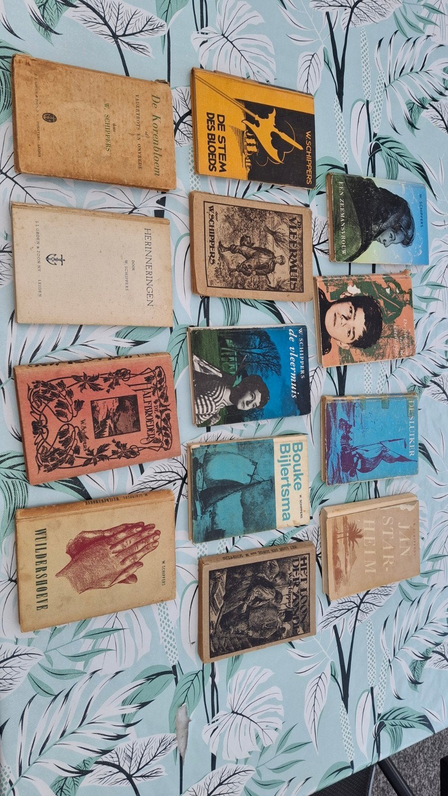 W.Schippers boeken, Gelezen, W.schippers, Ophalen of Verzenden, Nederland