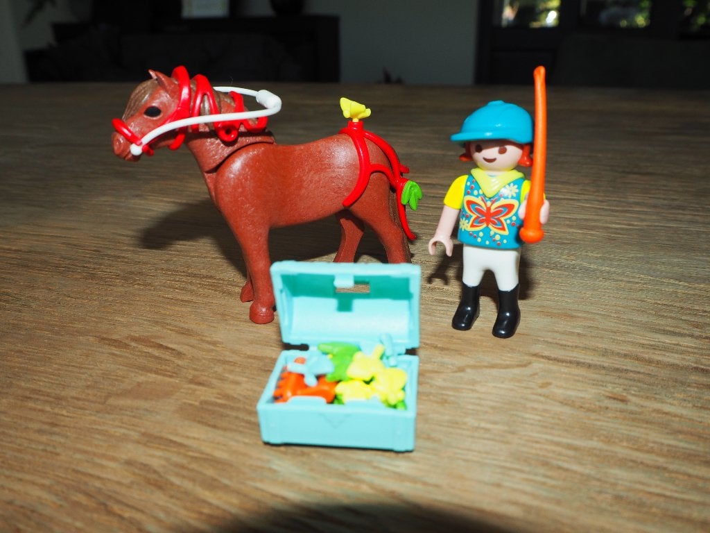 Playmobil 6971 Country pony (paard) om te versieren Vlinder, Complete set, Ophalen of Verzenden, Zo goed als nieuw, Country