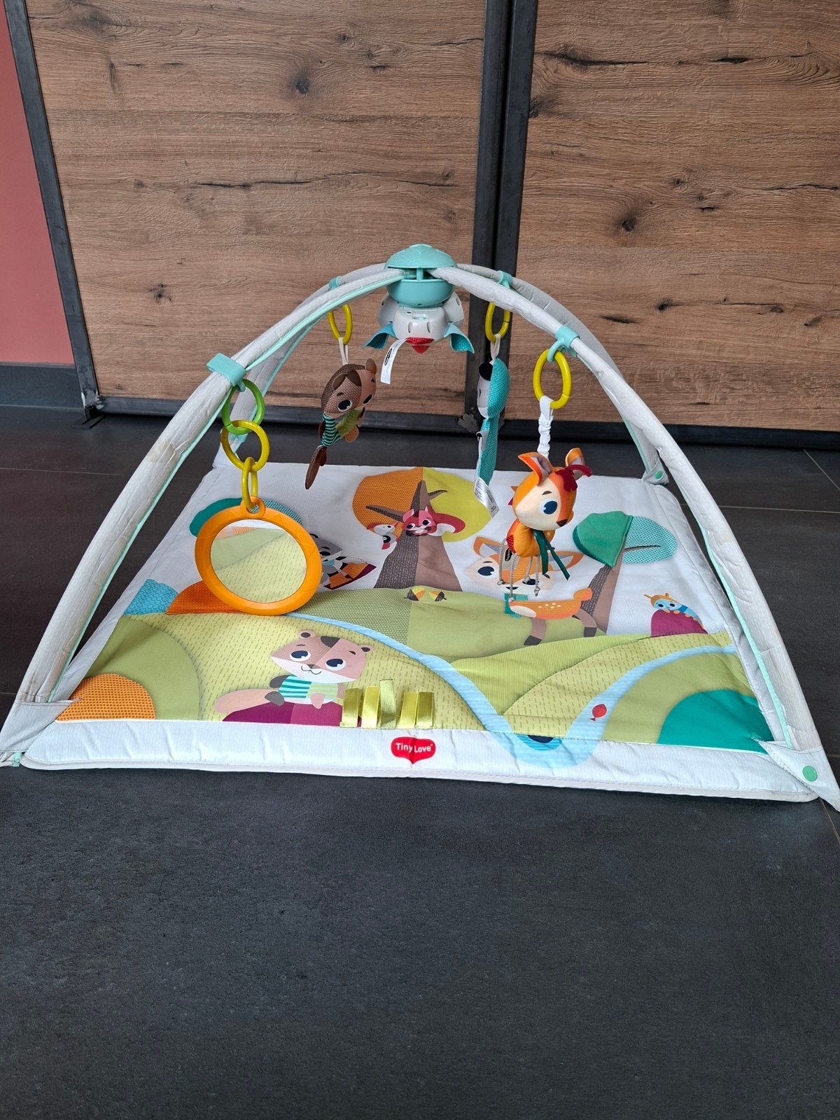 Tiny love Babygym met opberghoes, Ophalen, Gebruikt