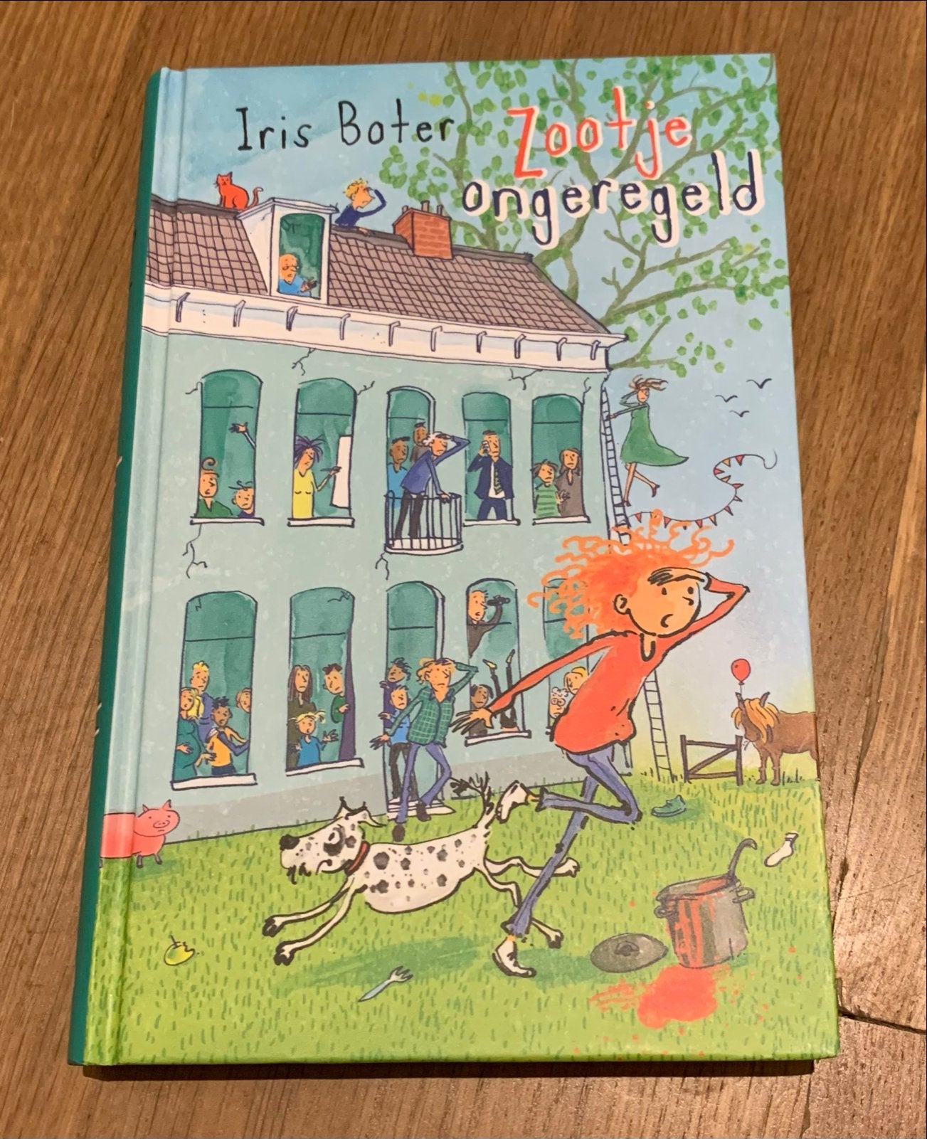 Zootje Ongeregeld - Iris Boter (Kinderboek), Ophalen of Verzenden, Zo goed als nieuw, Fictie algemeen