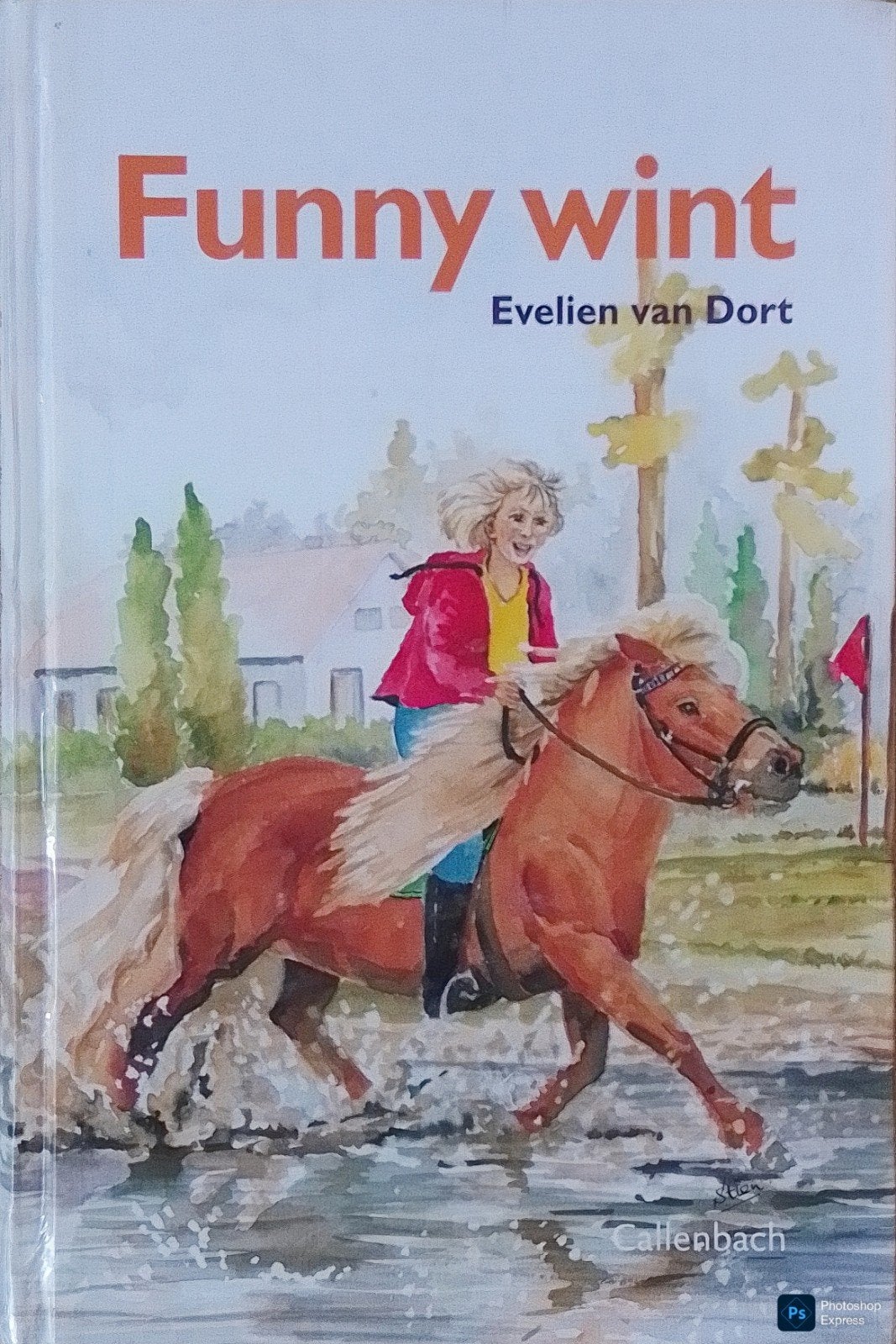 Funny Wint, Boeken, Gelezen, Ophalen of Verzenden, Evelien Van Dort., Fictie