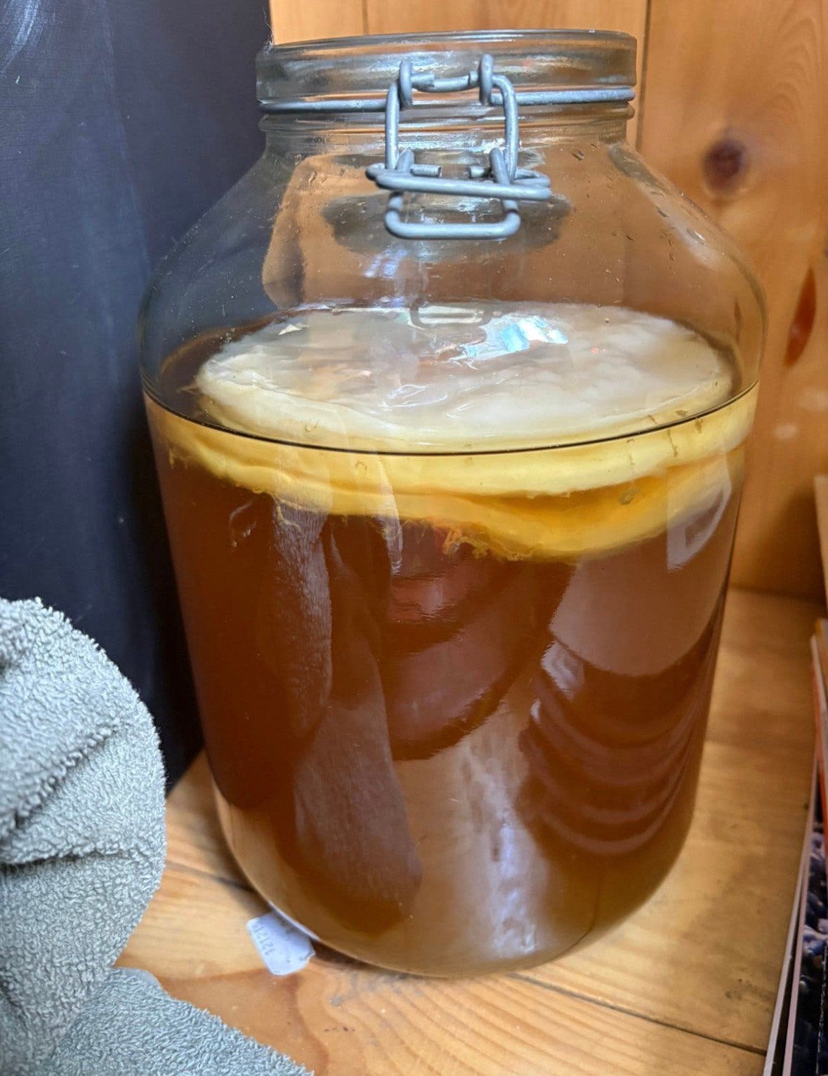 Biologische scoby - kombucha zwam S-M-L-XL, Ophalen of Verzenden