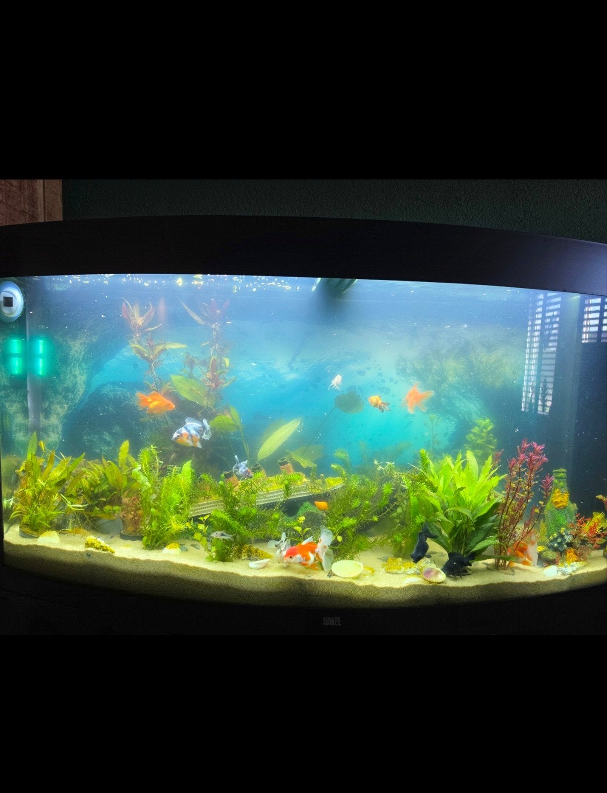grote Aquarium Juwel 260 led, Ophalen, Zo goed als nieuw, Leeg aquarium
