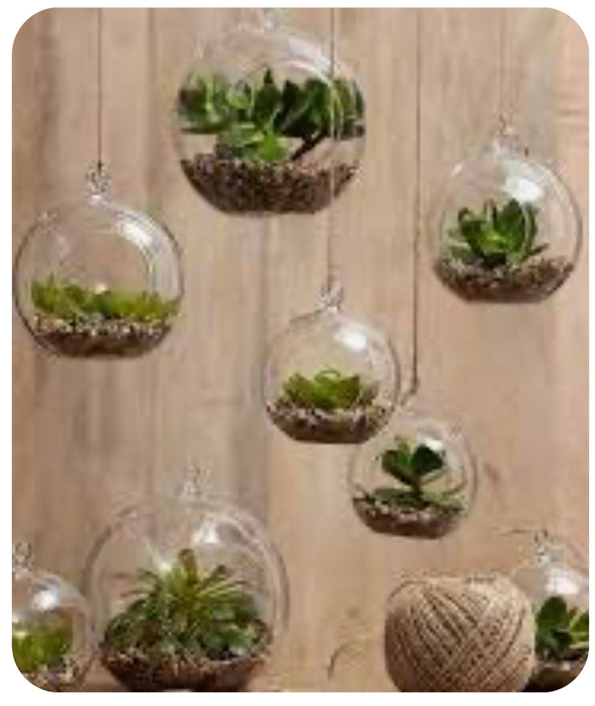 Zes glazen planten hangers NIEUW, Ophalen of Verzenden, Halfschaduw, Minder dan 100 cm