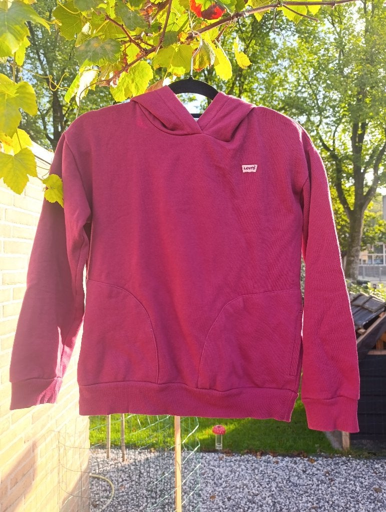 Levis trui/hoodie maat 152 paars/rood, Jongen of Meisje, Trui of Vest, Ophalen of Verzenden, Zo goed als nieuw