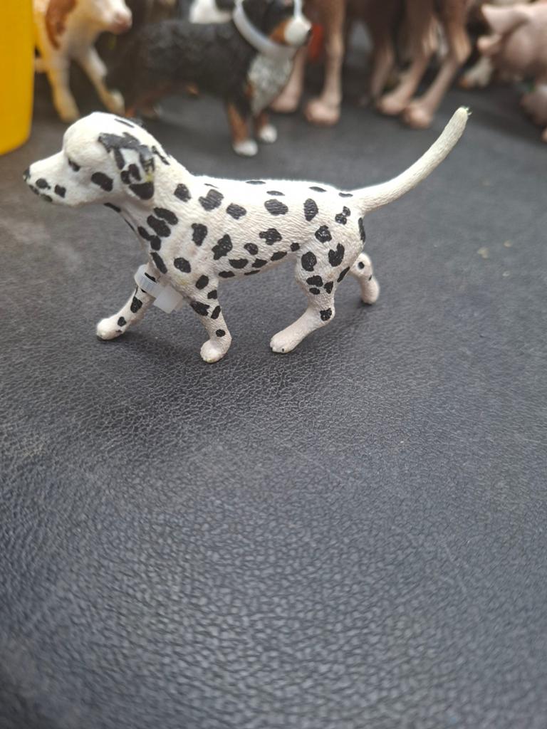 Schleich  dalmatier hond, Verzamelen, Dierenverzamelingen, Ophalen of Verzenden, Zo goed als nieuw, Hond of Kat, Beeldje of Figuurtje