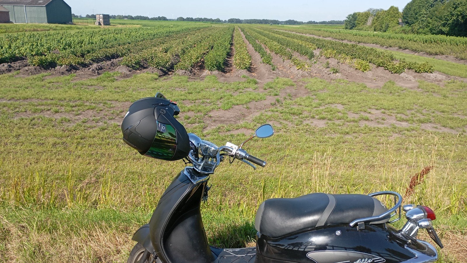 te koop goede sym allo, Fietsen en Brommers, Scooters | Overige merken, Ophalen, Gebruikt, Maximaal 45 km/u, Benzine