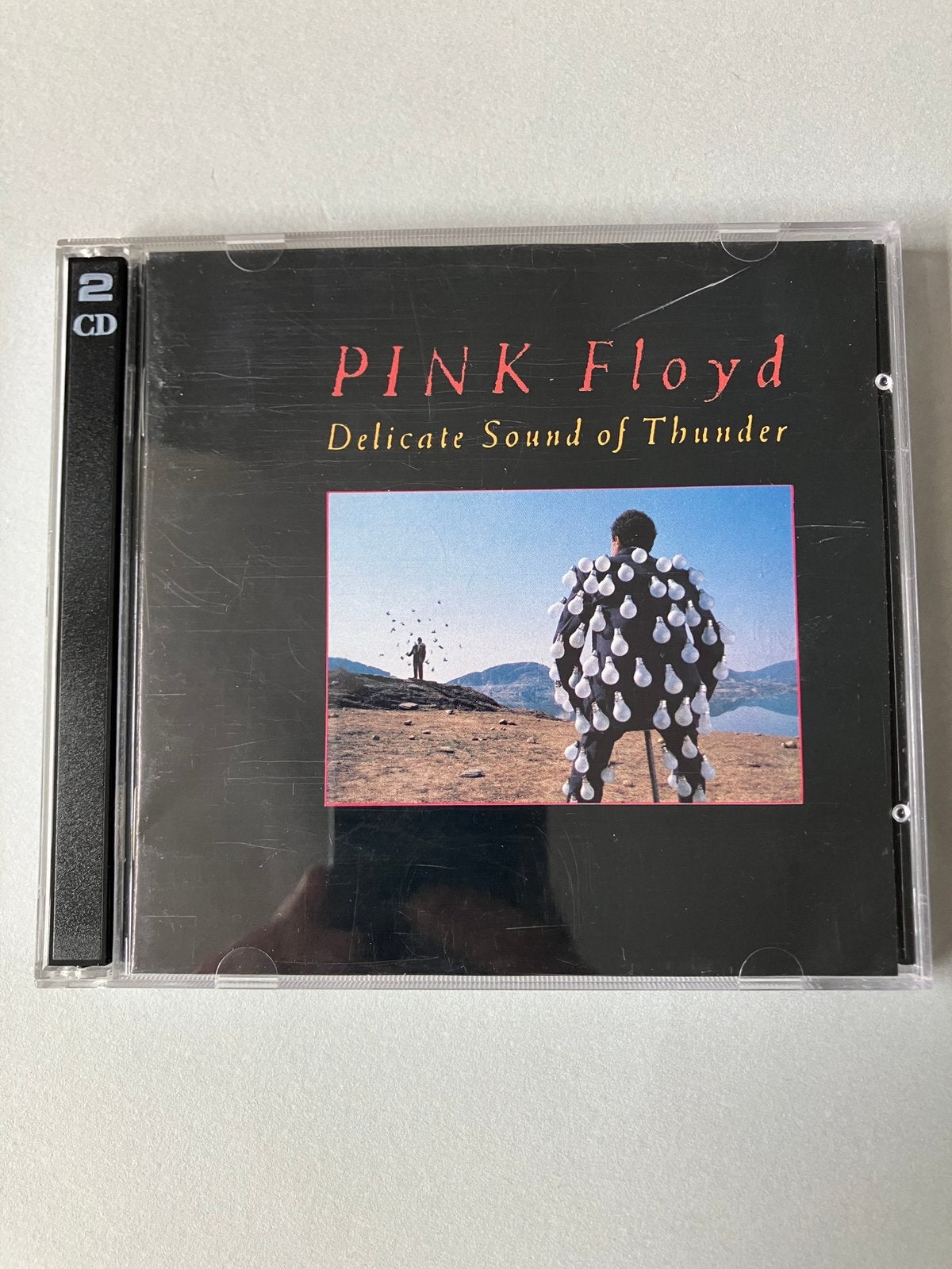 Pink Floyd - Delicate Sound Of Thunder, Ophalen of Verzenden, Zo goed als nieuw