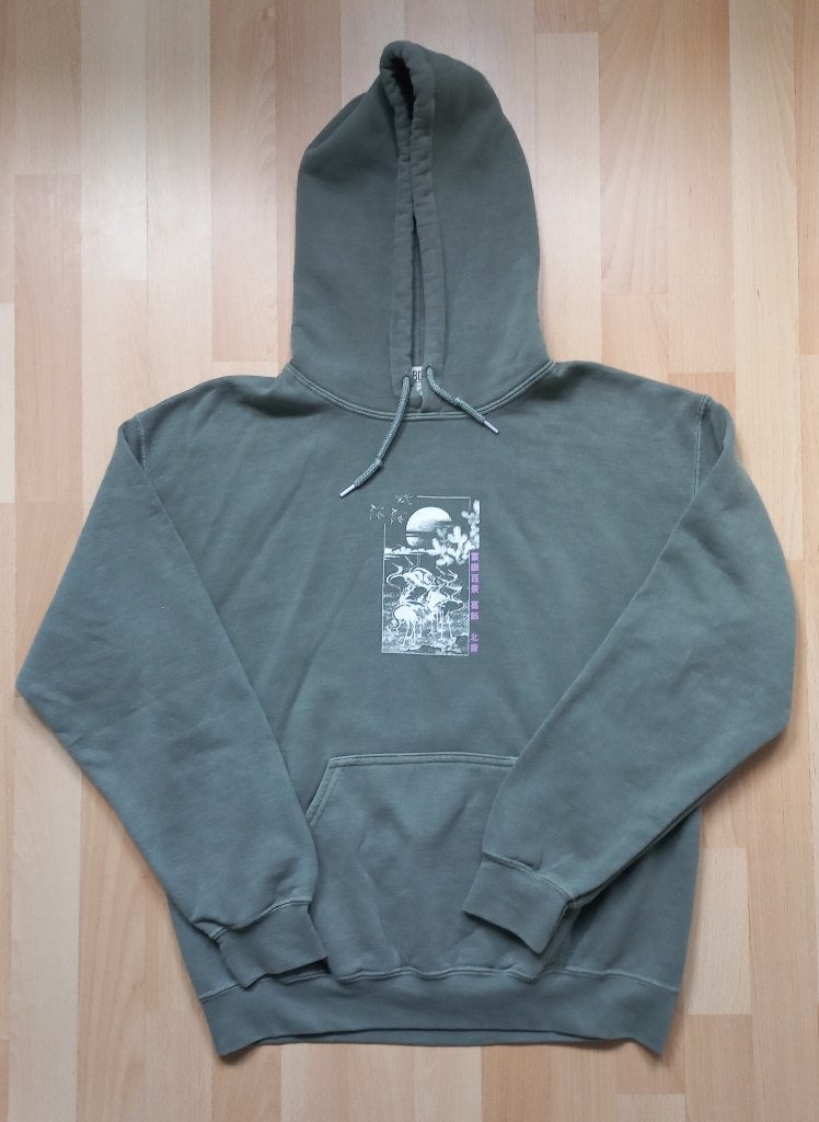 Hoodie BDG Urban Outfitters - maat XS, Ophalen of Verzenden, Zo goed als nieuw, Maat 34 (XS) of kleiner, Grijs