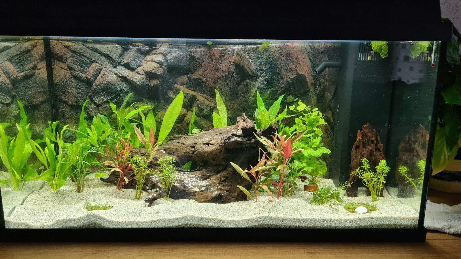 Juwel Rio 180 met juwel meubel~ alles compleet met veel extr, Dieren en Toebehoren, Ophalen, Inclusief vissen, Gevuld zoetwateraquarium