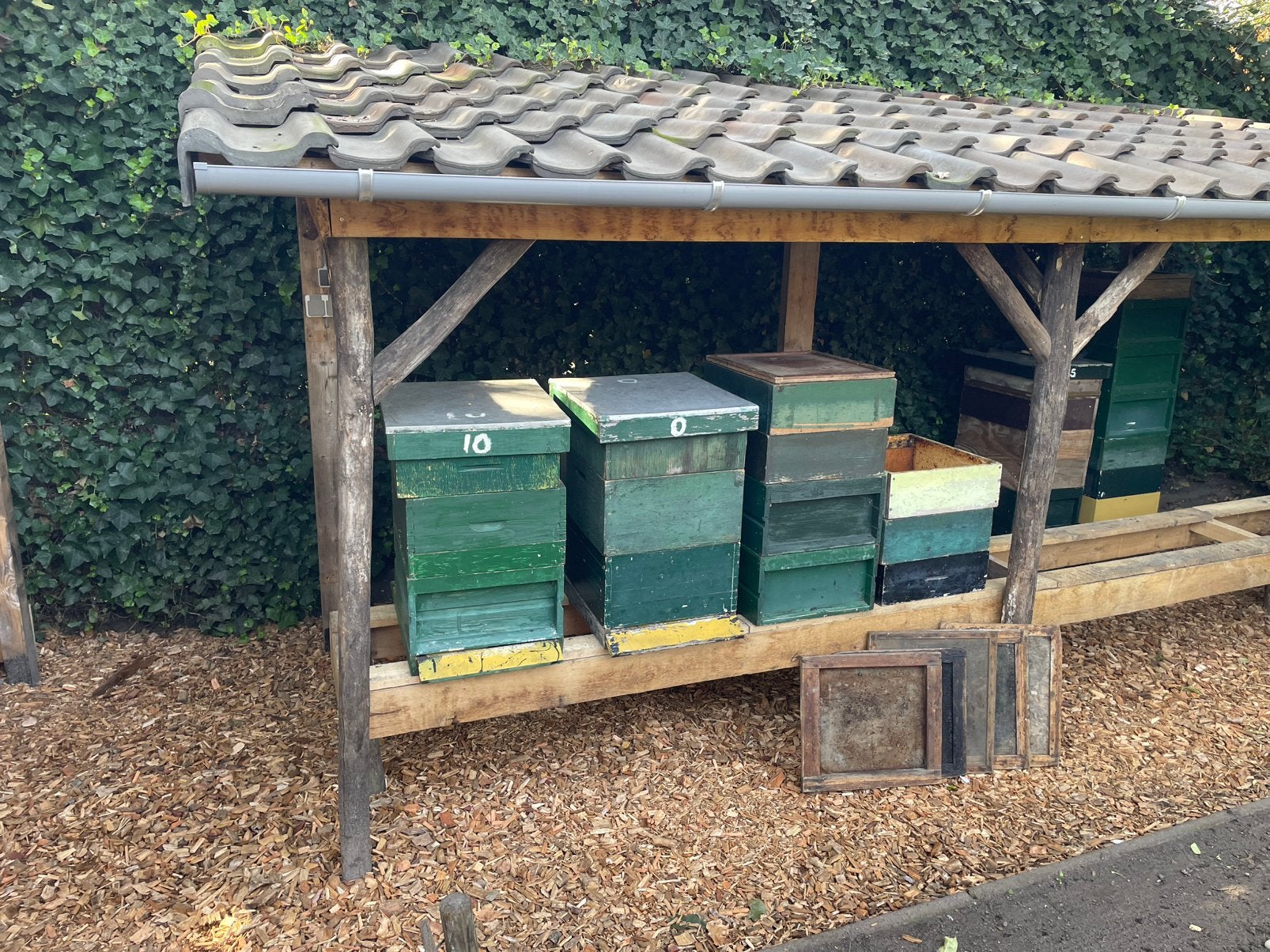Partij bijenkasten / spaarkasten – 2 complete kasten + extra, Dieren en Toebehoren, Bijen
