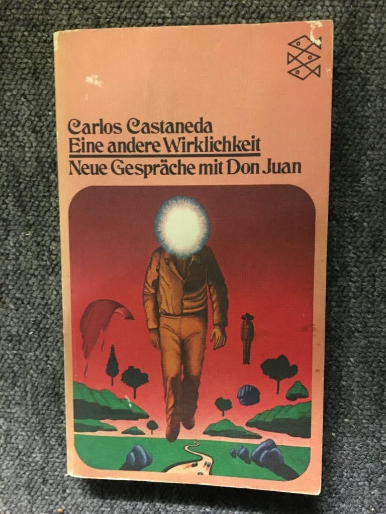 Ein andere Wirklichkeit ; Carlos Castaneda #Psychedelisch, Gelezen, Achtergrond en Informatie, Spiritualiteit algemeen, Ophalen of Verzenden